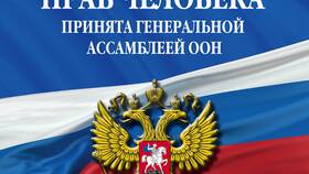 Что входит в Декларацию прав ребенка в Самсон-Фарма