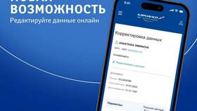 Как изменить паспортные данные в билете Аэрофлот