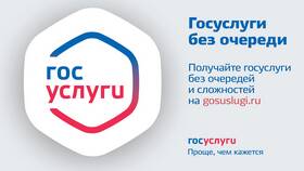 Как получить ИПРА через Госуслуги в Самсон-Фарма