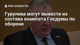Почему Гурулёву вывели из комитета в Самсон-Фарма