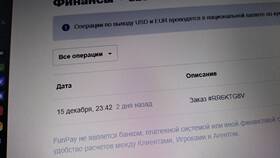 Почему нельзя оплатить с баланса FunPay в Самсон-Фарма