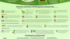 Причины отмены запрета: возможные объяснения в Самсон-Фарма