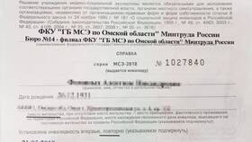 Справка МСЭ: что это такое в Самсон-Фарма