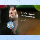 Как правильно писать 